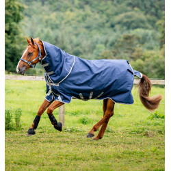 Cobre-pescoço Horseware Amigo® Bravo 12 Original 150g 1200D Marinho / cinza titânio / prata Azul-marinho