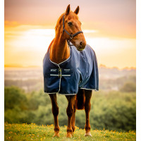 Capa Horseware Amigo Ripstop 900D Pônei Turnout 100g Preto / azul clássico