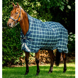 Capa Horseware Rhino Wug Turnout 0g Hunter check /Marine / vert Motivos Capa Horseware Rhino Wug Turnout 0g Hunter check /Marine / vert Motivos