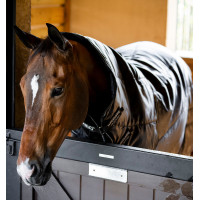 Cobertura de estábulo Horseware Amigo Ripstop Insulator Plus 200g Preto / preto / prata Cobertura de estábulo Horseware Amigo Ripstop Insulator Plus 200g Preto / preto / prata