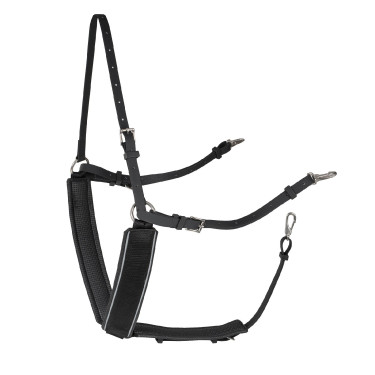 Bridão de treino sintético em Y Finn-Tack Pro