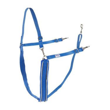 Grande bricole em Y sintética Finn-Tack com debrum Azul / branco