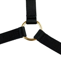 Caveção Yankee Finn-Tack Pro de nylon com focinheira aberta Preto
