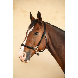 Caveção Hups Harcour Preto