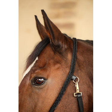 Caveção Hups Harcour Preto