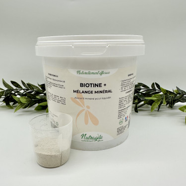 Nutragile Biotina+ Nutragile Biotina+