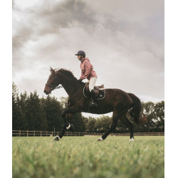 Casaco impermeável Raintech Horse Pilot feminino Rosa mesa