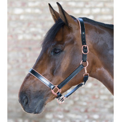 Cabeçada de couro Rosé Waldhausen X-Line Preto Cabeçada de couro Rosé Waldhausen X-Line Preto