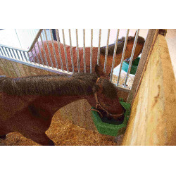 Comedouro de canto La Gee 21 L