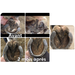 Gel de tratamento para podridão severa dos cascos Ekin Gel de tratamento para podridão severa dos cascos Ekin