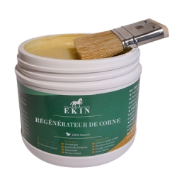 Regenerador de casco Ekin Regenerador de casco Ekin