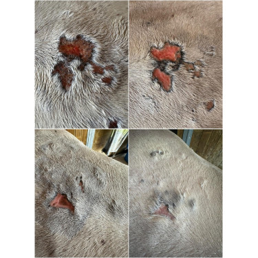 Bálsamo reparador cutâneo Ekin Bálsamo reparador cutâneo Ekin