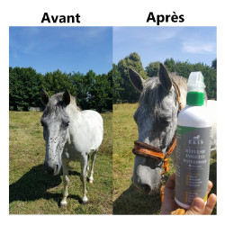 Spray Repelente de Insetos Ekin Spray Repelente de Insetos Ekin