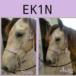 Repelente de insetos Ekin Repelente de insetos Ekin