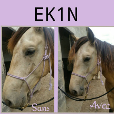 Repelente de insetos Ekin Repelente de insetos Ekin