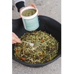 Alimento complementar Alodis Care Horse Complexe Alimento complementar Alodis Care Horse Complexe