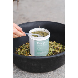 Alimento complementar Alodis Care Horse Complexe Alimento complementar Alodis Care Horse Complexe