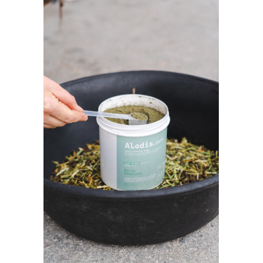 Alimento complementar Alodis Care Horse Complexe Alimento complementar Alodis Care Horse Complexe