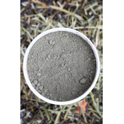 Alimento complementar Alodis Care Horse Complexe Alimento complementar Alodis Care Horse Complexe