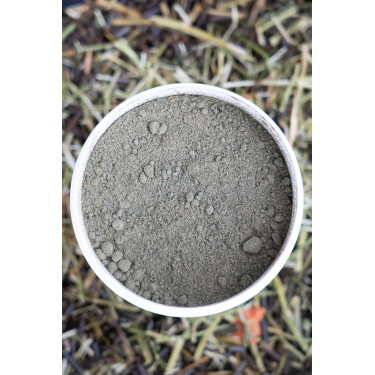 Alimento complementar Alodis Care Horse Complexe Alimento complementar Alodis Care Horse Complexe