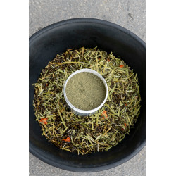 Alimento complementar Alodis Care Horse Complexe Alimento complementar Alodis Care Horse Complexe