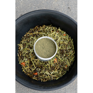 Alimento complementar Alodis Care Horse Complexe Alimento complementar Alodis Care Horse Complexe
