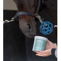 Alimento complementar Alodis Care Horse Complexe Alimento complementar Alodis Care Horse Complexe