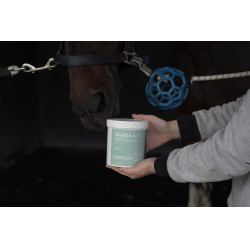Alimento complementar Alodis Care Horse Complexe Alimento complementar Alodis Care Horse Complexe