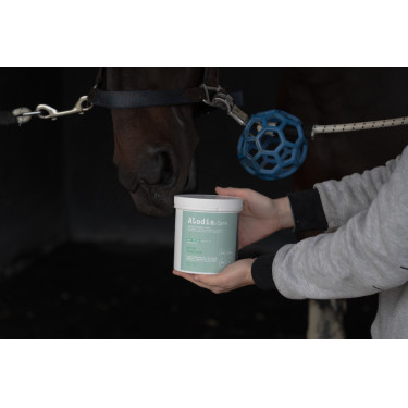 Alimento complementar Alodis Care Horse Complexe Alimento complementar Alodis Care Horse Complexe