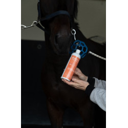 Alimento complementar Alodis Care Acti Muscle