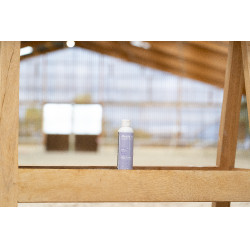 Alimento complementar Alodis Care Boost Power Alimento complementar Alodis Care Boost Power