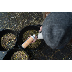 Alimento complementar Alodis Care Help Care