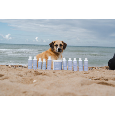 Argila Alodis Care Cani Clay para cão Argila Alodis Care Cani Clay para cão