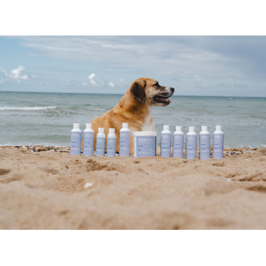 Argila Alodis Care Cani Clay para cão Argila Alodis Care Cani Clay para cão