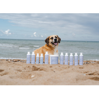 Argila Alodis Care Cani Clay para cão Argila Alodis Care Cani Clay para cão