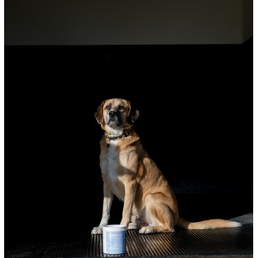 Argila Alodis Care Cani Clay para cão Argila Alodis Care Cani Clay para cão