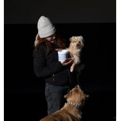 Argila Alodis Care Cani Clay para cão