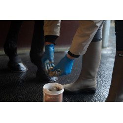 Argila Alodis Care Hoof Clay