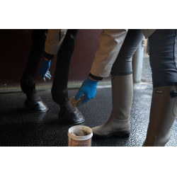 Argila Alodis Care Hoof Clay