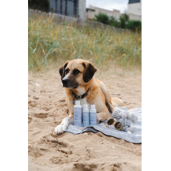 Gel Alodis Care Cani Repair