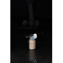 Óleo Alodis Care Hoof Choc Óleo Alodis Care Hoof Choc