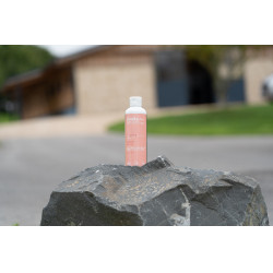 Óleo de massagem Alodis Care Digest Recup Óleo de massagem Alodis Care Digest Recup