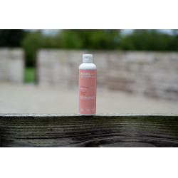 Óleo de massagem Alodis Care Digest Recup Óleo de massagem Alodis Care Digest Recup