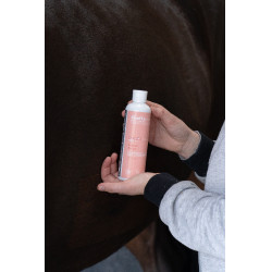 Óleo de massagem Alodis Care Digest Recup Óleo de massagem Alodis Care Digest Recup