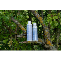 Shampoo Alodis Care Cani Soap para cão