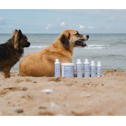 Shampoo Alodis Care Cani Soap para cão