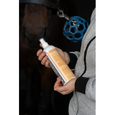 Spray higienizante Alodis Care Top Clean Spray higienizante Alodis Care Top Clean