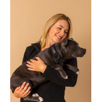 Coleira GEM para cão Caqui Kaki Coleira GEM para cão Caqui Kaki