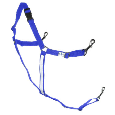 Bridão americano sintético pônei Finn-Tack Pro Azul / branco