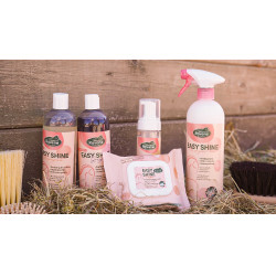 Easy Shine Wipe Ravene Toalhetes de limpeza Easy Shine Wipe Ravene Toalhetes de limpeza